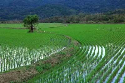 海南省获批的61个共享农庄名录