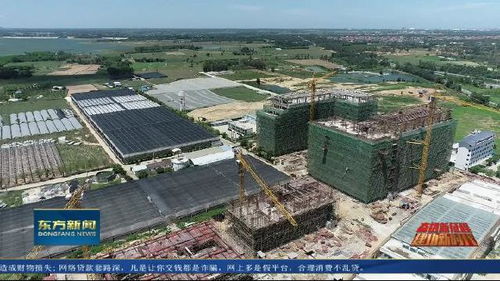 奋进新征程 建功新时代 东方 坚持疫情防控和项目建设 两手抓 奋力实现首季 开门红 开门稳